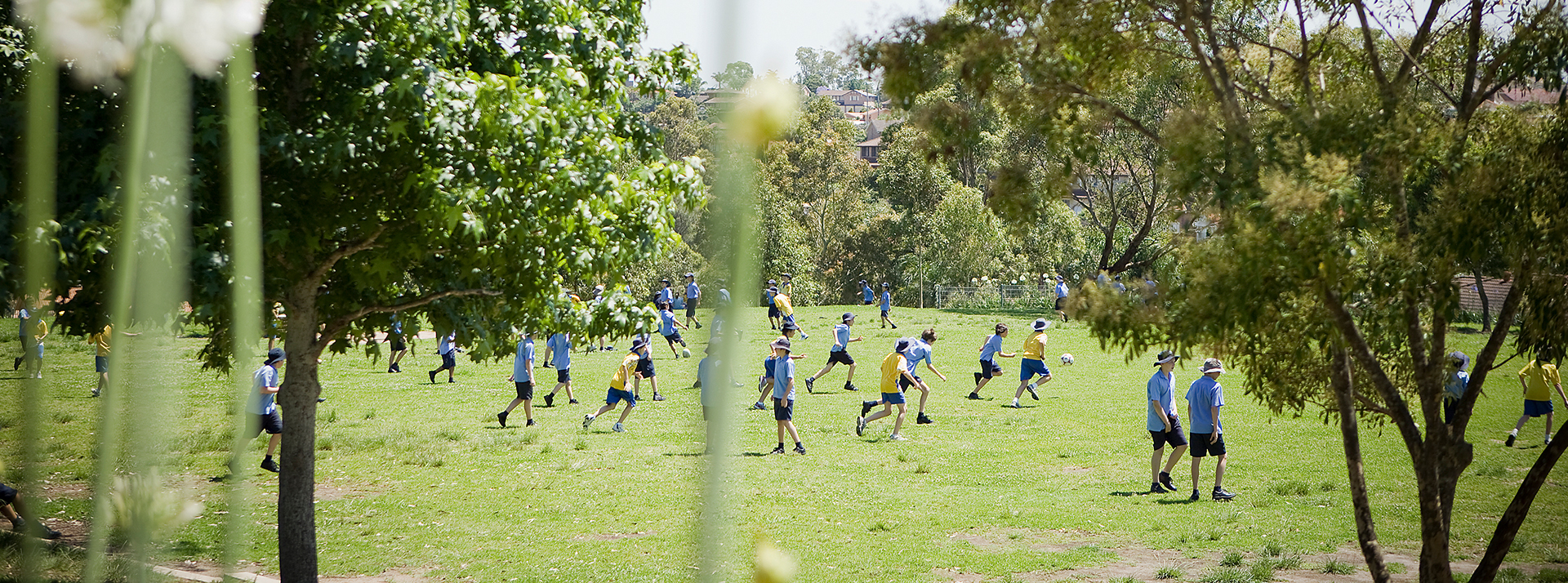 Students playing on the oval at St Michael's Catholic Primary Baulkham Hills