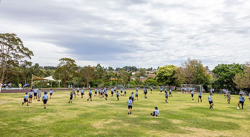 Playing on St Michael's Catholic Primary Baulkham Hills school oval