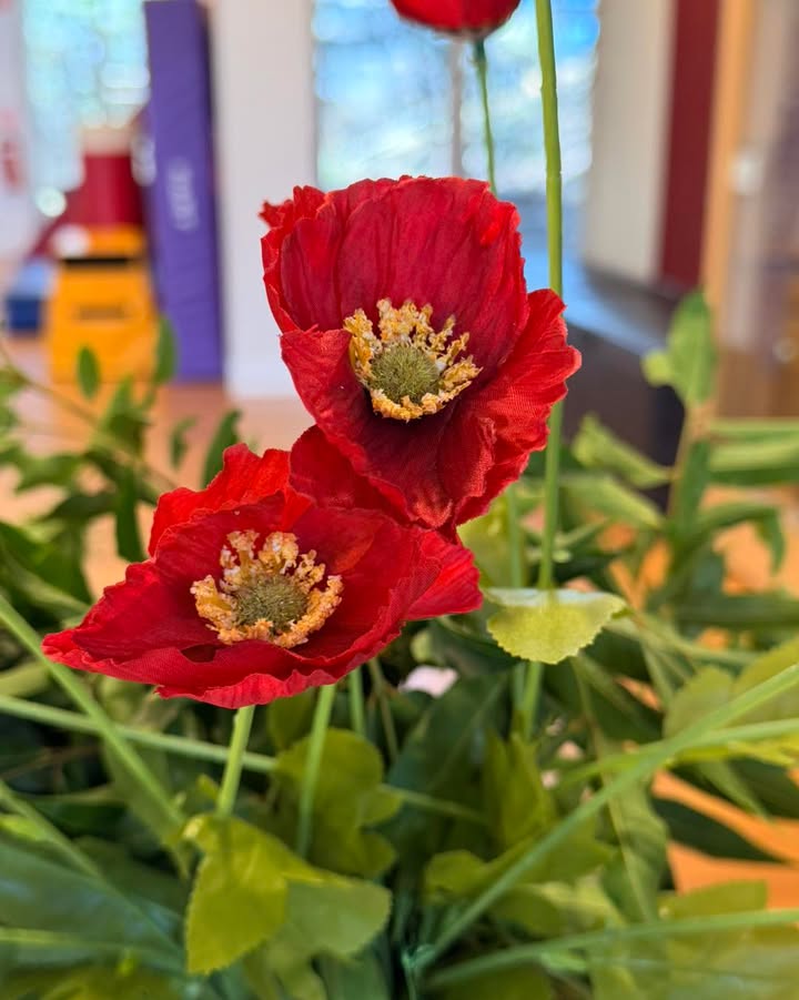 563943395785443_1234986682014441-1