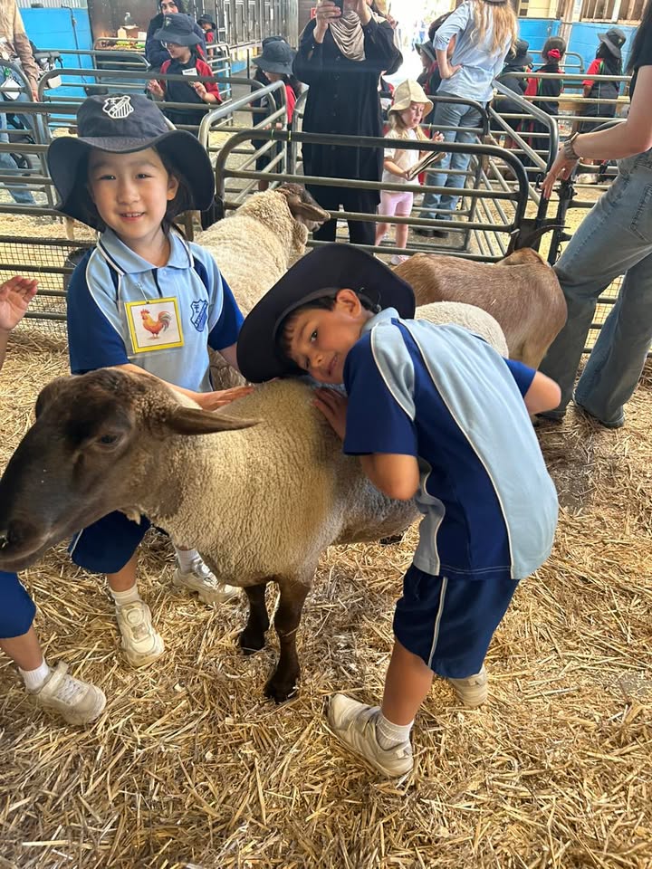 563943395785443_1239009204945522-1