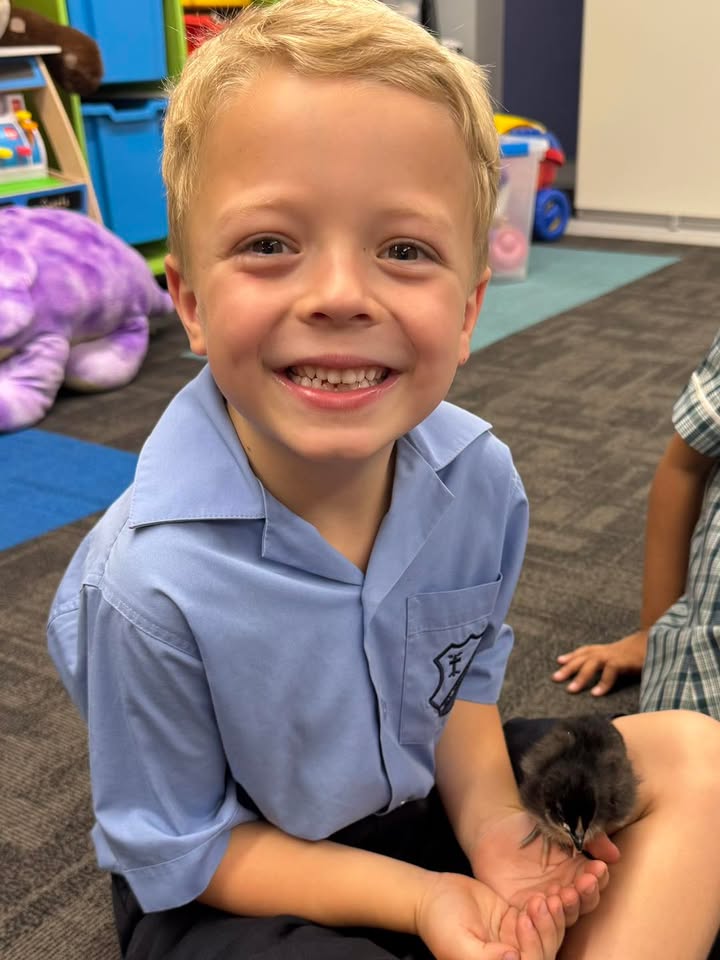 563943395785443_1252577256922050-1