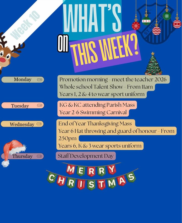 563943395785443_1259828266196949-1