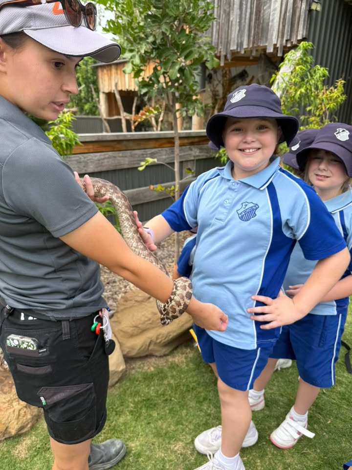 563943395785443_1336204375226004-1