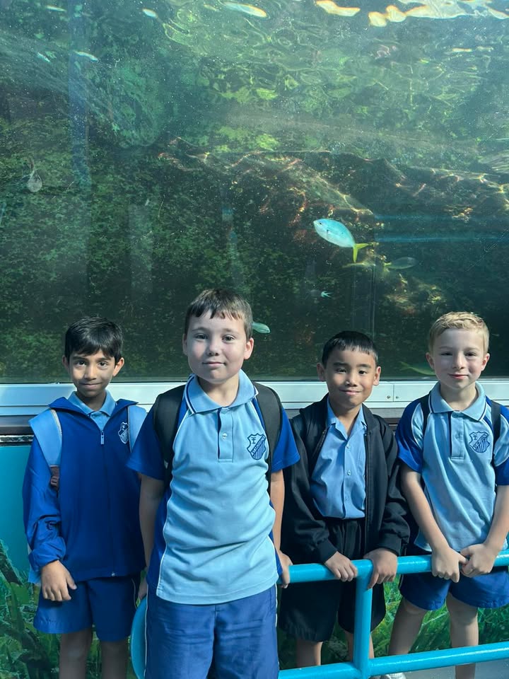 563943395785443_1343141147865660-1