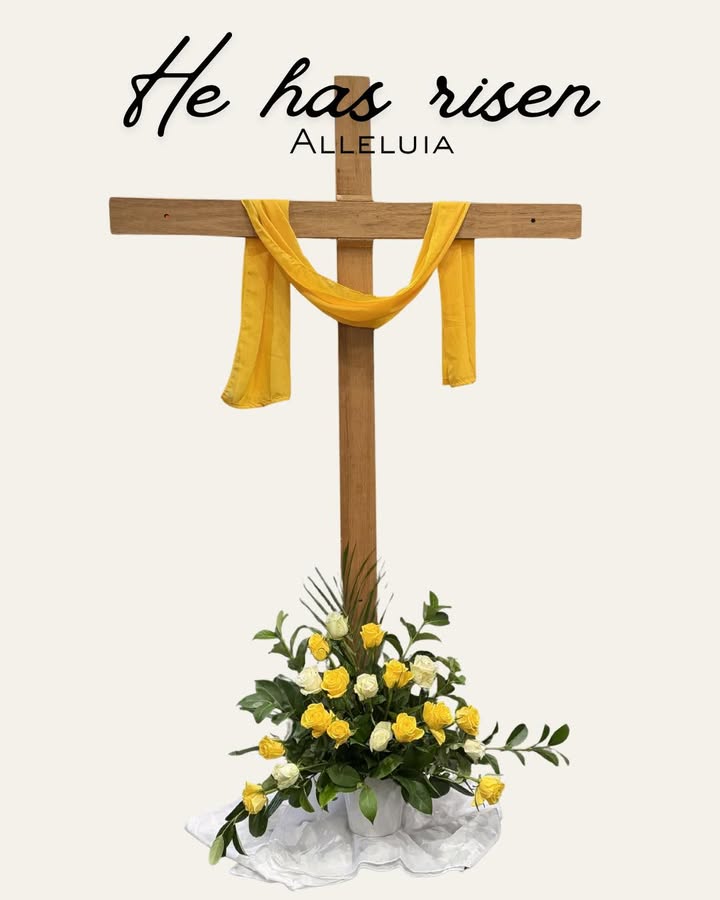 563943395785443_1352039290309179-1